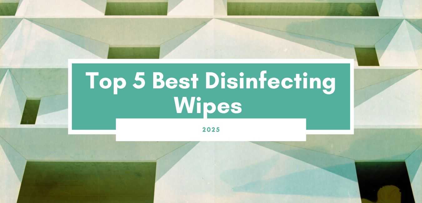 Top 5 Best Disinfecting Wipes 2025